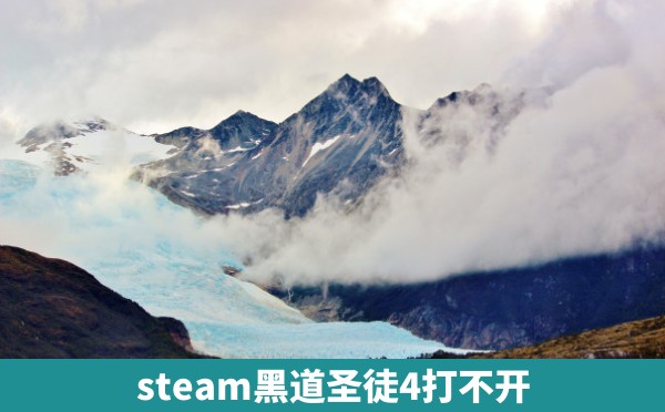 steam黑道圣徒4打不开