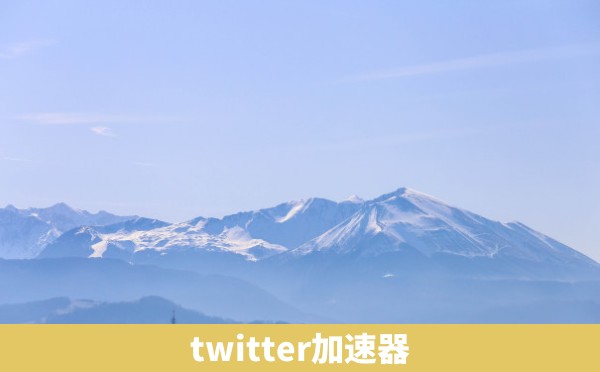 twitter加速器