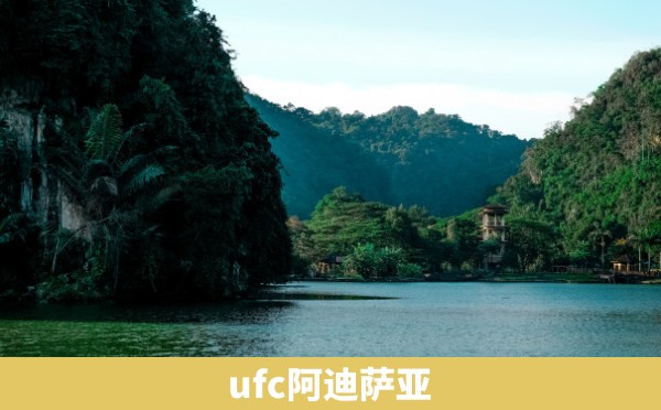 ufc阿迪萨亚