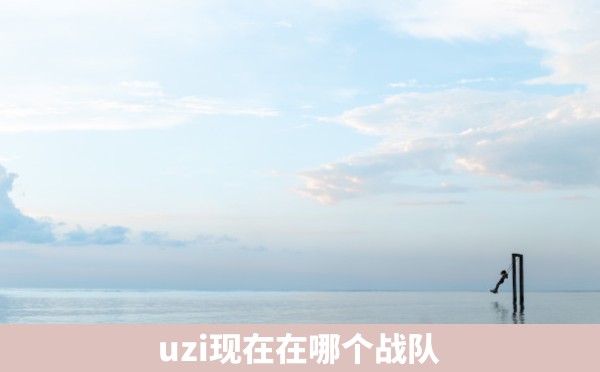 uzi现在在哪个战队