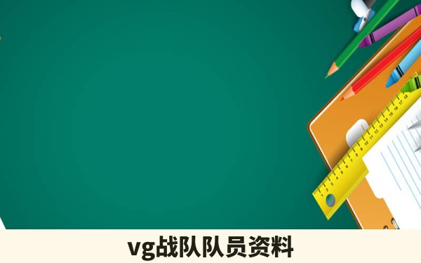 vg战队队员资料