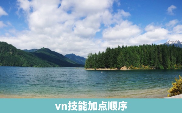 vn技能加点顺序