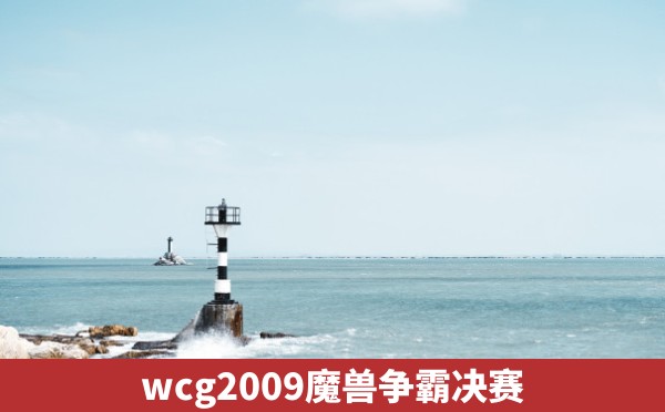 wcg2009魔兽争霸决赛