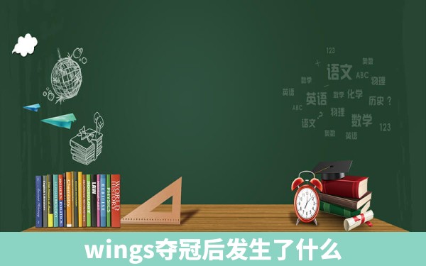 wings夺冠后发生了什么