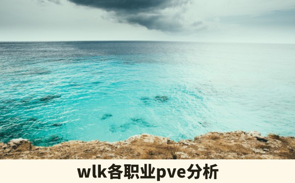 wlk各职业pve分析