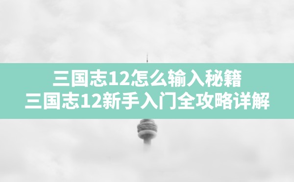 三国志12怎么输入秘籍,三国志12新手入门全攻略详解 - 六五手游网