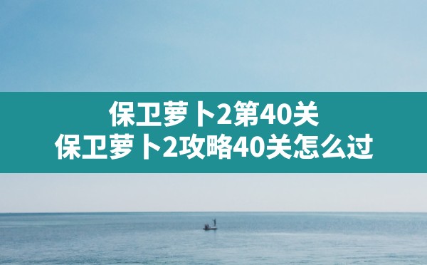 保卫萝卜2第40关,保卫萝卜2攻略40关怎么过 - 六五手游网