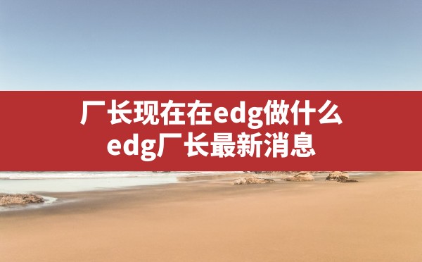 厂长现在在edg做什么,edg厂长最新消息 - 六五手游网