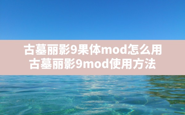 古墓丽影9果体mod怎么用(古墓丽影9 mod使用方法) - 六五手游网