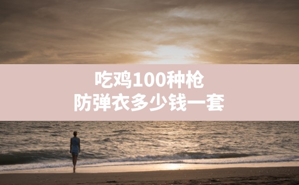 吃鸡100种枪(防弹衣多少钱一套) - 六五手游网