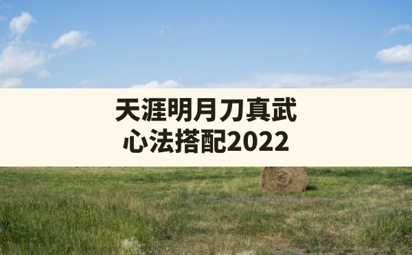 天涯明月刀真武心法搭配2022,心法选择顺序有什么讲究 - 六五手游网