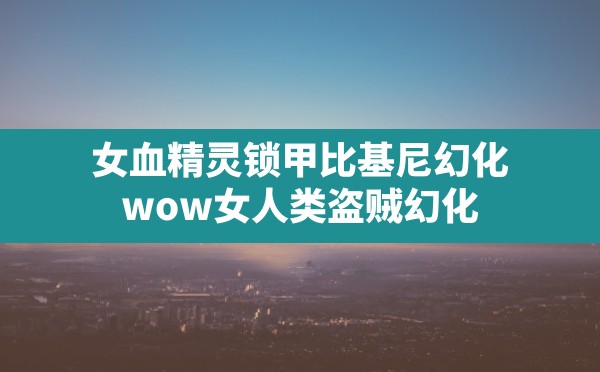 女血精灵锁甲比基尼幻化(wow女人类盗贼幻化) - 六五手游网