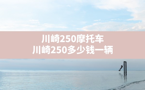 川崎250摩托车(川崎250多少钱一辆) - 六五手游网