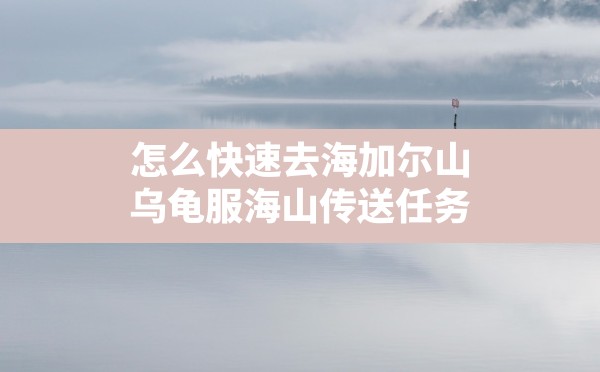 怎么快速去海加尔山,乌龟服海山传送任务 - 六五手游网