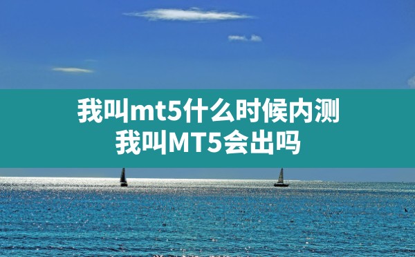 我叫mt5什么时候内测(我叫MT5会出吗) - 六五手游网