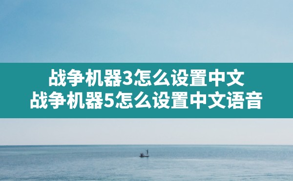 战争机器3怎么设置中文(战争机器5怎么设置中文语音) - 六五手游网