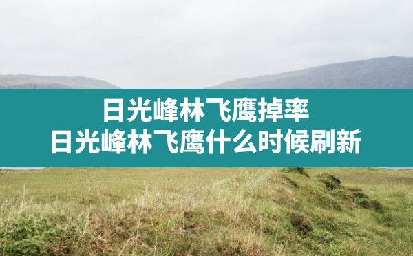 日光峰林飞鹰掉率,日光峰林飞鹰什么时候刷新 - 六五手游网