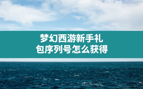 梦幻西游新手礼包序列号怎么获得(梦幻官方论坛新手礼包领取) - 六五手游网