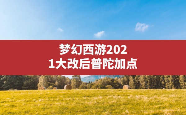 梦幻西游2021大改后普陀加点(最新改版后普陀山加点) - 六五手游网