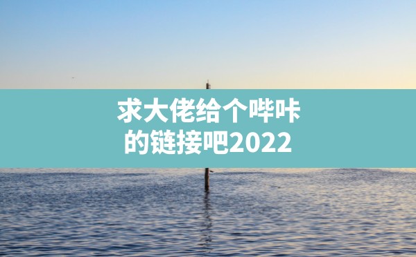 求大佬给个哔咔的链接吧2022 - 六五手游网