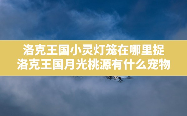 洛克王国小灵灯笼在哪里捉,洛克王国月光桃源有什么宠物 - 六五手游网