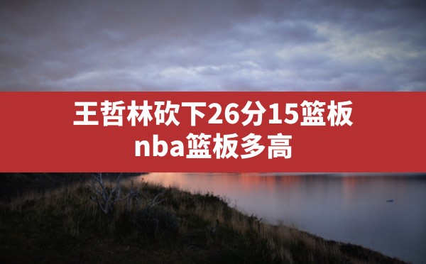 王哲林砍下26分15篮板(nba篮板多高) - 六五手游网