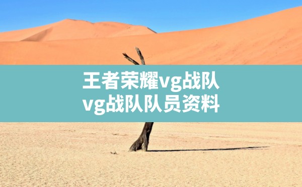 王者荣耀vg战队(vg战队队员资料) - 六五手游网