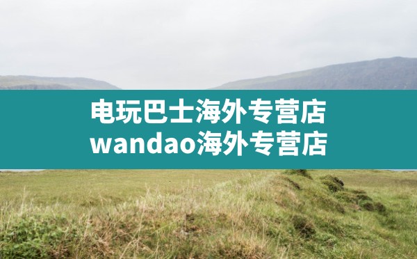 电玩巴士海外专营店,wandao海外专营店 - 六五手游网