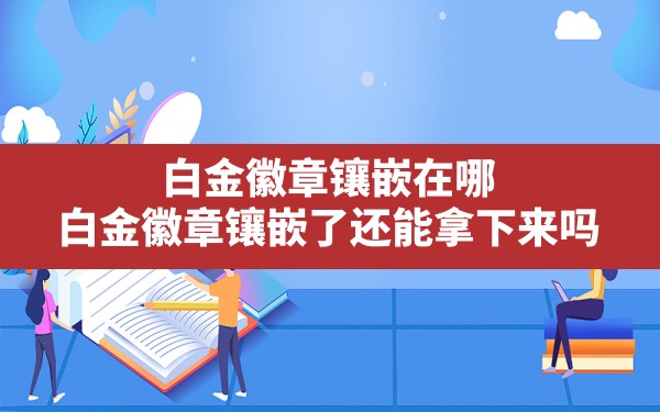 白金徽章镶嵌在哪,白金徽章镶嵌了还能拿下来吗 - 六五手游网