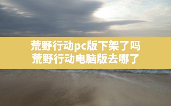 荒野行动pc版下架了吗(荒野行动电脑版去哪了) - 六五手游网