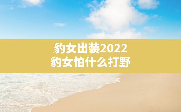 豹女出装2022,豹女怕什么打野 - 六五手游网