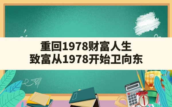 重回1978财富人生,致富从1978开始卫向东 - 六五手游网