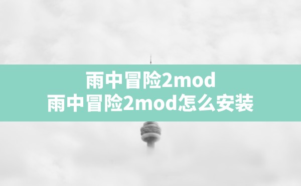 雨中冒险2mod(雨中冒险2mod怎么安装) - 六五手游网