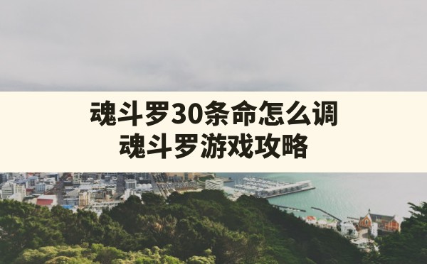 魂斗罗30条命怎么调,魂斗罗游戏攻略 - 六五手游网