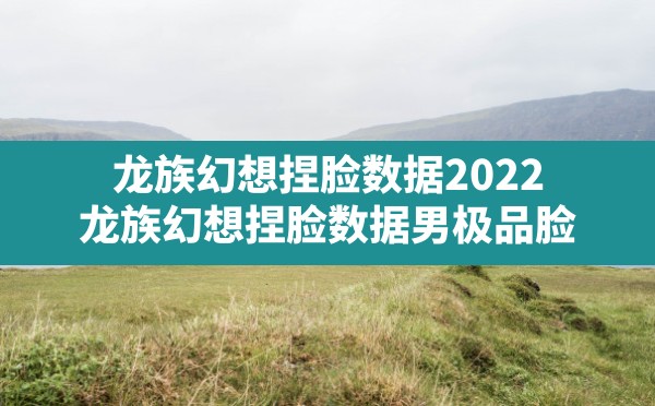 龙族幻想捏脸数据2022,龙族幻想捏脸数据男极品脸 - 六五手游网