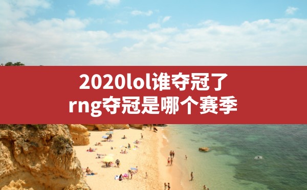 2020lol谁夺冠了,rng夺冠是哪个赛季 - 六五手游网