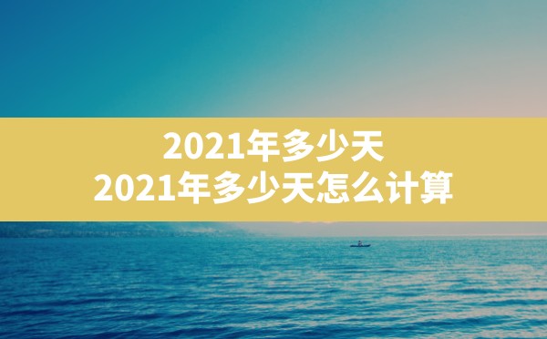 2021年多少天,2021年多少天怎么计算 - 六五手游网