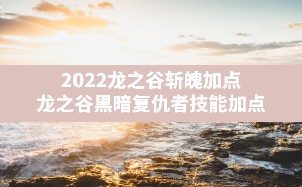 2022龙之谷斩魄加点(龙之谷黑暗复仇者技能加点) - 六五手游网