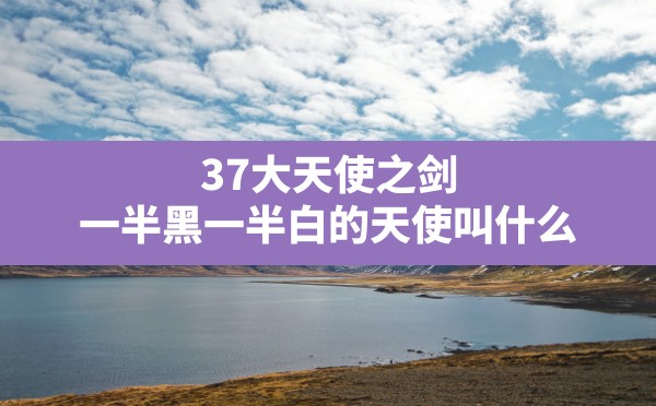 37大天使之剑,一半黑一半白的天使叫什么 - 六五手游网