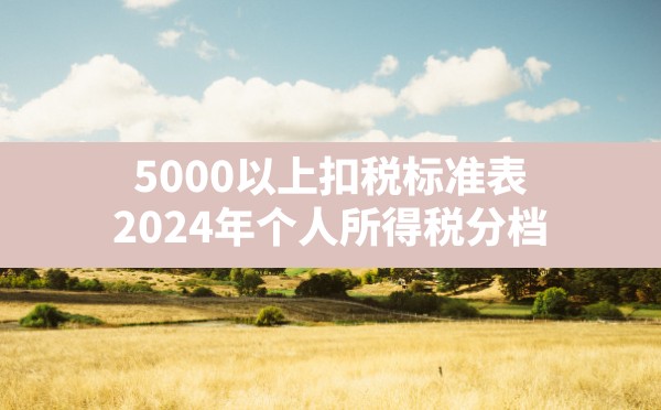 5000以上扣税标准表,2024年个人所得税分档 - 六五手游网