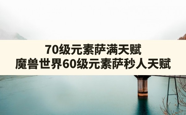 70级元素萨满天赋,魔兽世界60级元素萨秒人天赋 - 六五手游网