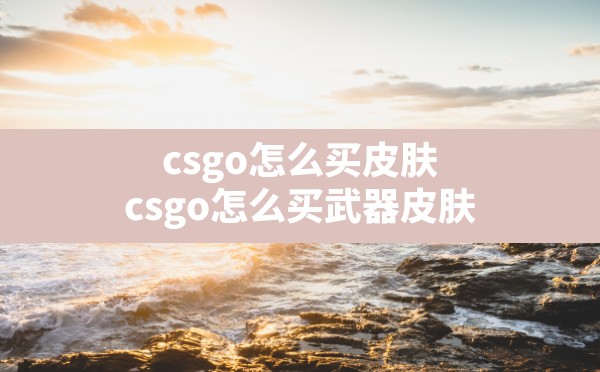 csgo怎么买皮肤,csgo怎么买武器皮肤 - 六五手游网