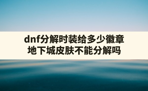 dnf分解时装给多少徽章(地下城皮肤不能分解吗) - 六五手游网