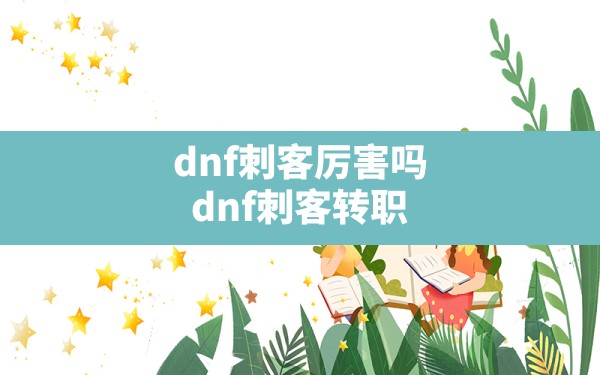 dnf刺客厉害吗(dnf刺客转职) - 六五手游网