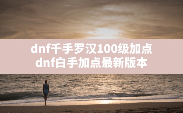 dnf千手罗汉100级加点(dnf白手加点最新版本) - 六五手游网