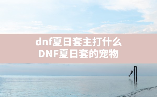 dnf夏日套主打什么,DNF夏日套的宠物 - 六五手游网