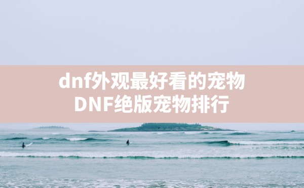 dnf外观最好看的宠物,DNF绝版宠物排行 - 六五手游网