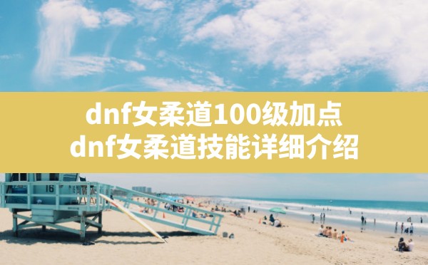 dnf女柔道100级加点,dnf女柔道技能详细介绍 - 六五手游网