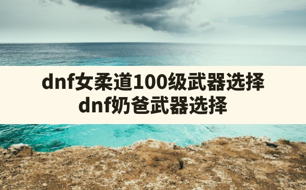 dnf女柔道100级武器选择(dnf奶爸武器选择) - 六五手游网