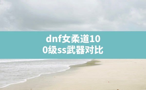 dnf女柔道100级ss武器对比,2021dnf100级女柔道装备选择 - 六五手游网